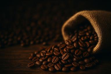 قهوه عربیکا چیست؟ تفاوت، طعم و ویژگی‌های خاص قهوه عربیکا ☕